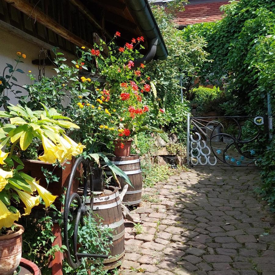 Апартаменты Beim Schlafwandler Карлсбад Экстерьер фото